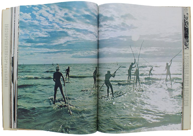 VANISHING AFRICA [english text]