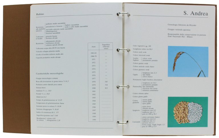 VARIETA' DI RISO IN ITALIA - DIFESA FITOSANITARIA E DISERBO …