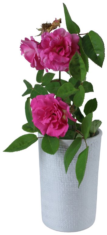 VASO IN CERAMICA BIANCO/ARGENTO CILINDRICO CM 19,5x13