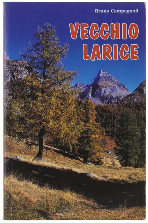 VECCHIO LARICE.