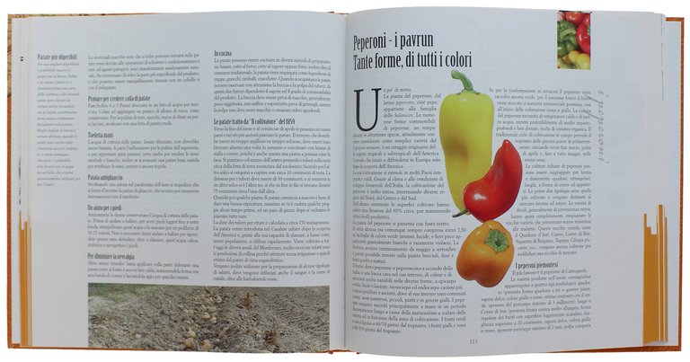 VIAGGI DEL GUSTO IN MONFERRATO. | Immagine Gallery 2