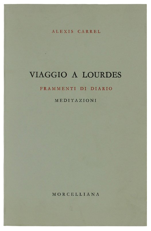 VIAGGIO A LOURDES. Frammenti di diario. Meditazioni.