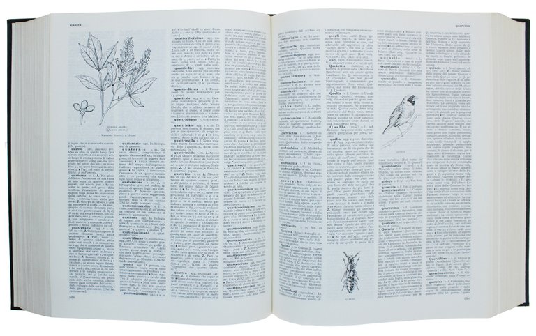 VOCABOLARIO ILLUSTRATO DELLA LINGUA ITALIANA. [prima edizione]