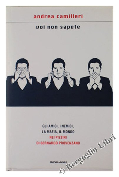 VOI NON SAPETE. Gli amici, i nemici, la mafia, il …
