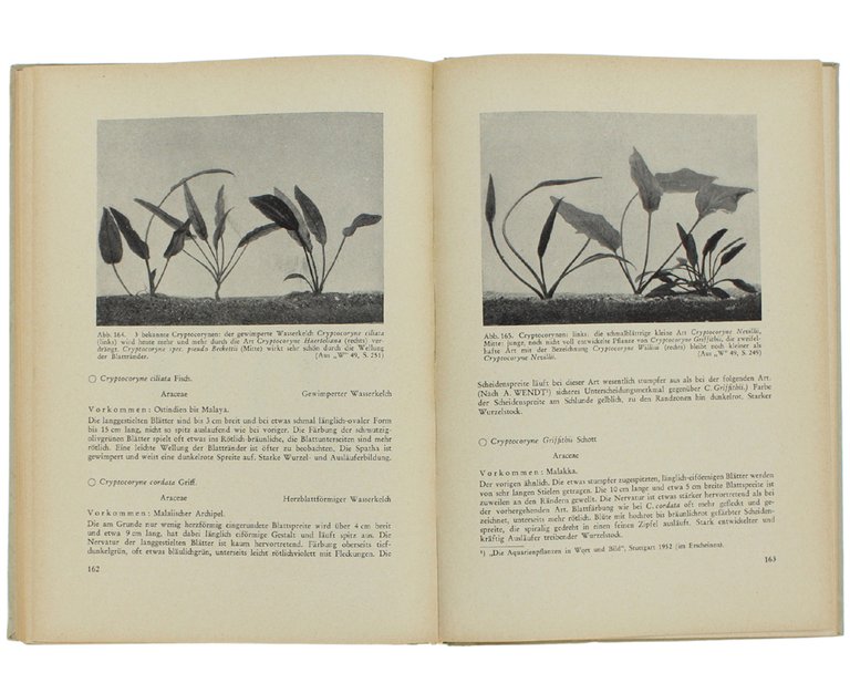WASSERPFLANZEN. Beschreibung, Bewertung und Kulturpraxis der wichtigsten in Vivarien gehaltenen … | Immagine Gallery 4