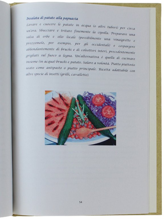 WHY DON'T EAT INSECTS? [tesi di laurea]