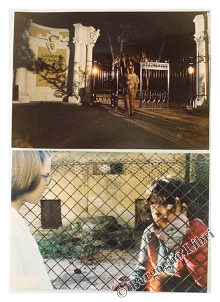 ZOO: DUE FOTO ORIGINALI.