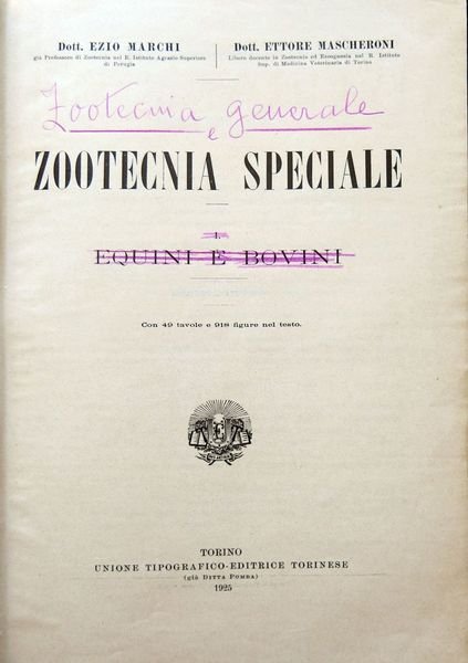 Zootecnia speciale. I Equini e bovini.