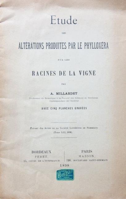 Etude des alterations produites par le phylloxéra sur les racines …