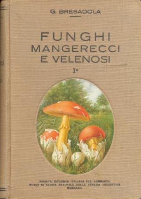 Funghi mangerecci e velenosi.