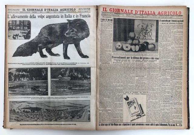 Il Giornale d'Italia Agricolo. Annate 1931 - 1932.