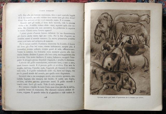 Il libro degli animali.