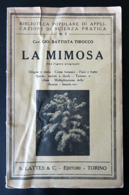 La Mimosa. Origine e storia - Cenni botanici - Fiori …