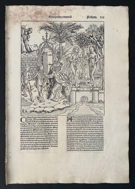 Liber Chronicarum. Il peccato originale.