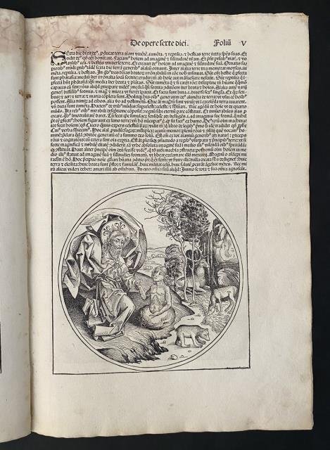 Liber Chronicarum. La creazione e benedizione dell'uomo. Dio Padre crea …