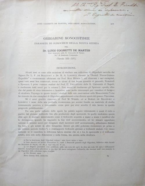 Nova Guinea. Résultats de l'Expédition Scientifique Nèerlandaise à la Nouvelle …