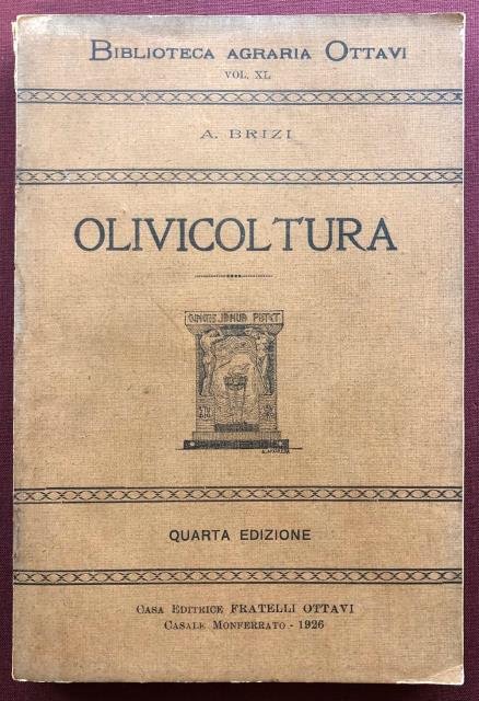 Olivicoltura.