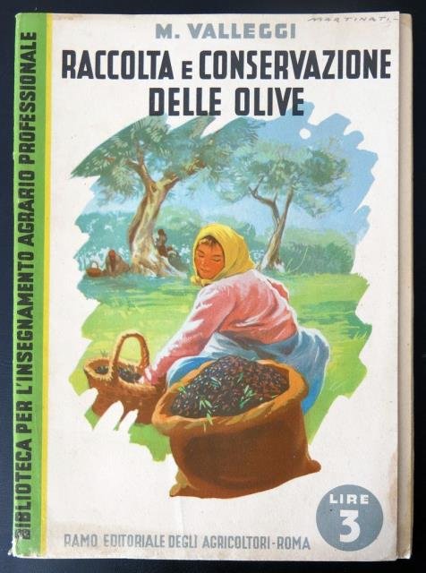 Raccolta e conservazione delle olive.