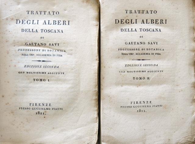 Trattato degli alberi della Toscana.
