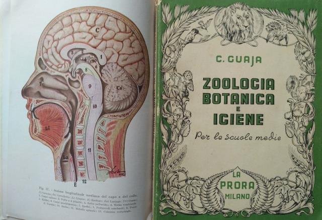 Zoologia, botanica e igiene.