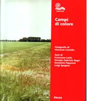 Campi di colore | Immagine Gallery 1