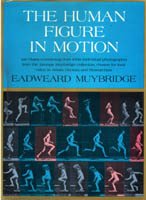 The human figure in motion