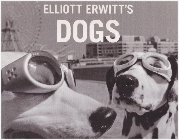 Elliott Erwitt's Dogs