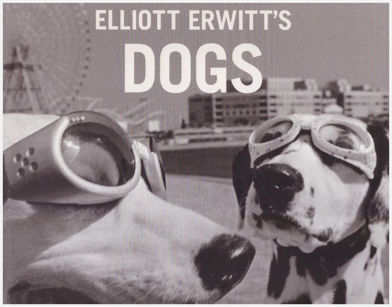 Elliott Erwitt's Dogs