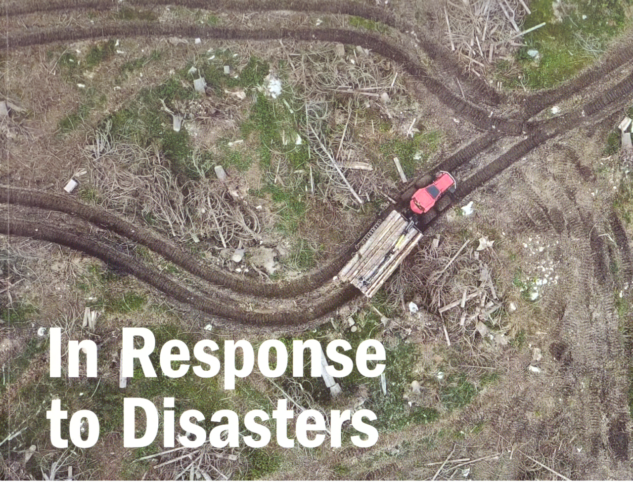 In response to disasters n.170