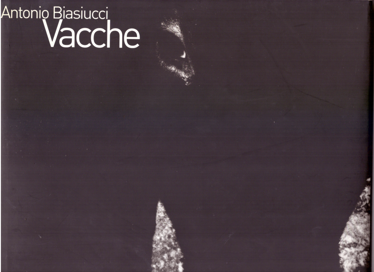 VACCHE