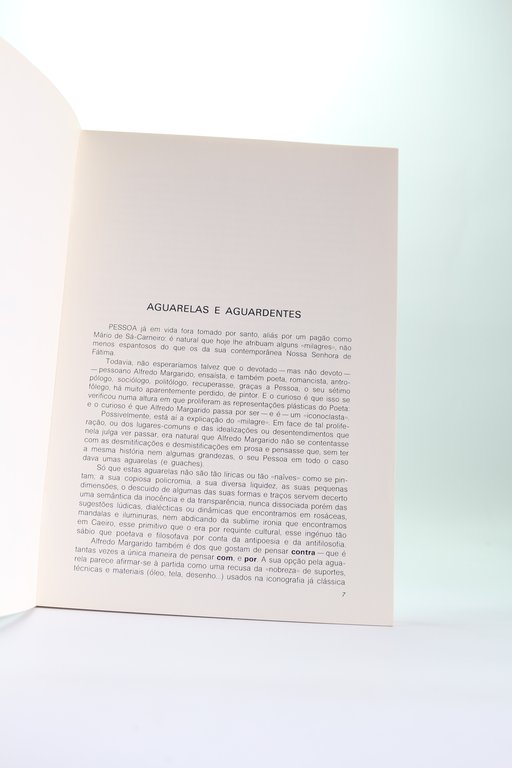 33 + 9 leituras plasticas de Fernando Pessoa