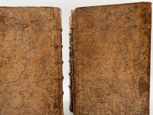 Recherches critiques, historiques et topographiques sur la ville de Paris, …