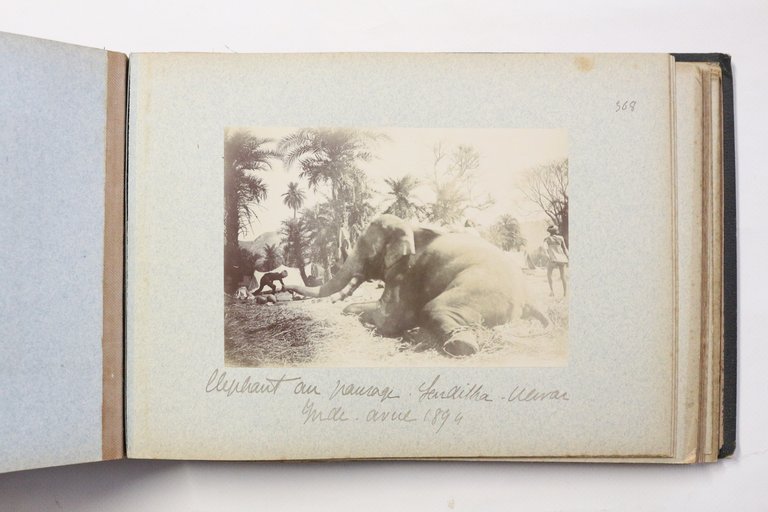 Album photographique - Ulwar