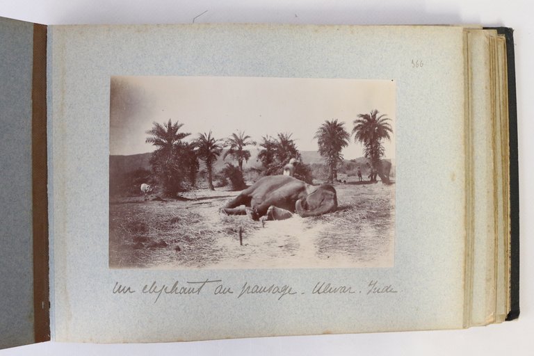 Album photographique - Ulwar