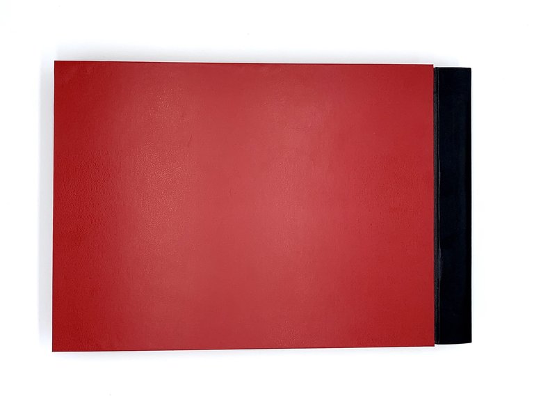 Album photographique Révolution russe. Trains d'Agitation (Agit-Prop)