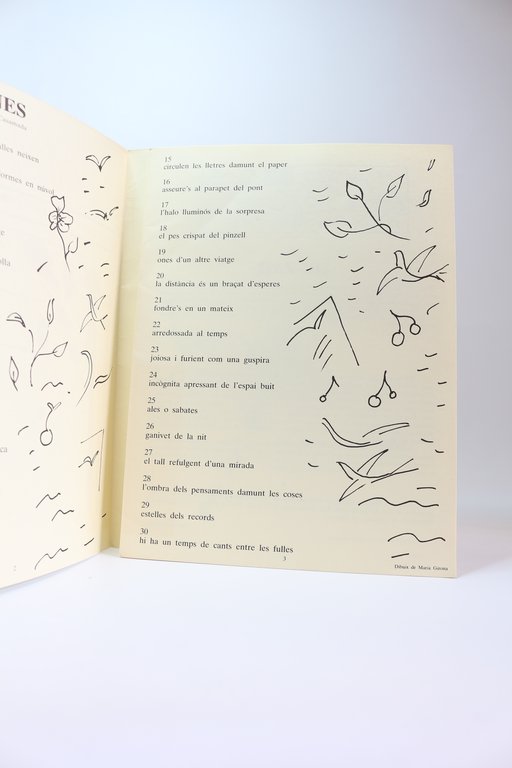 Ampit N°2. Poètiques possibles