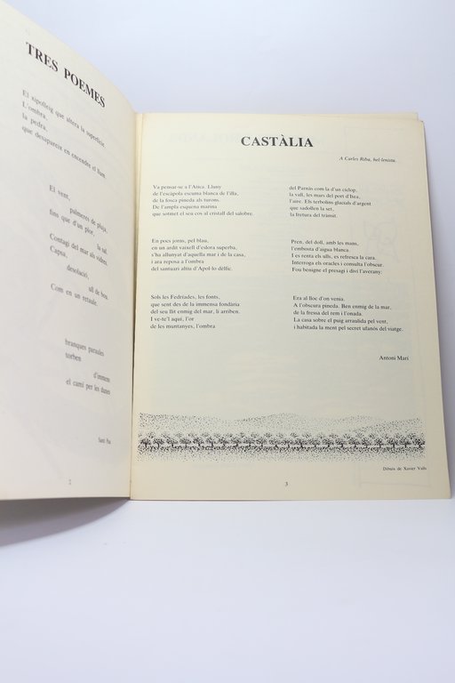 Ampit N°4. Poètiques possibles