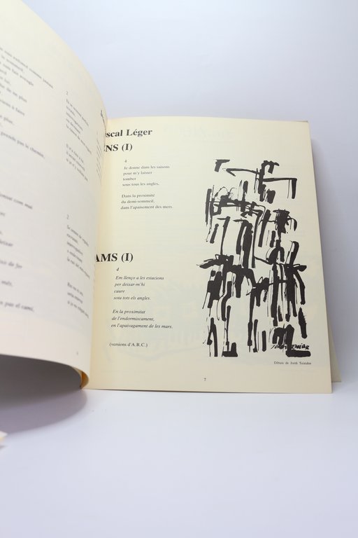 Ampit N°4. Poètiques possibles