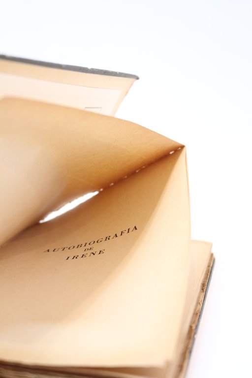 Autobiografia de Irene