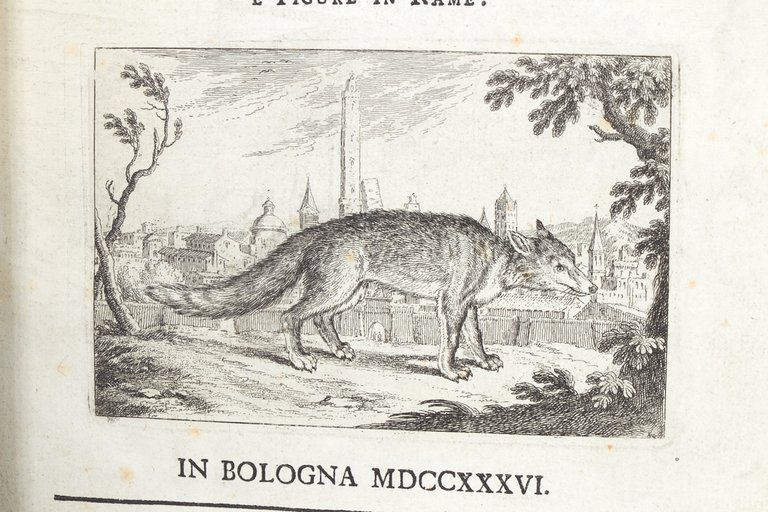 Bertoldo con Bertoldino et Cacasenno