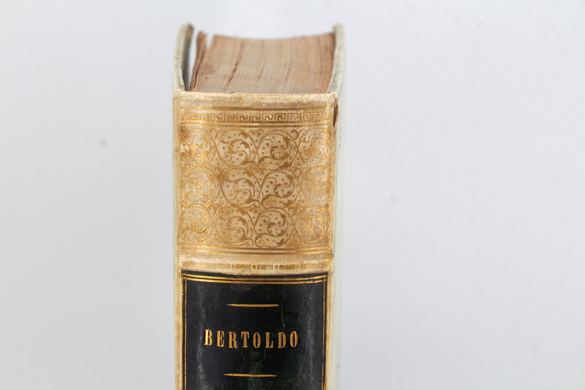 Bertoldo con Bertoldino et Cacasenno