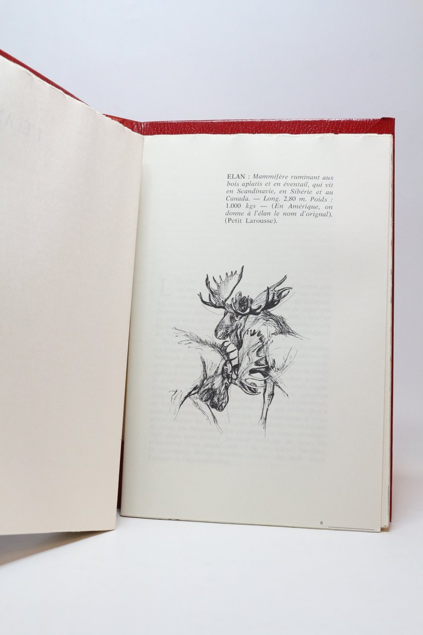 Bestiaire enchanté