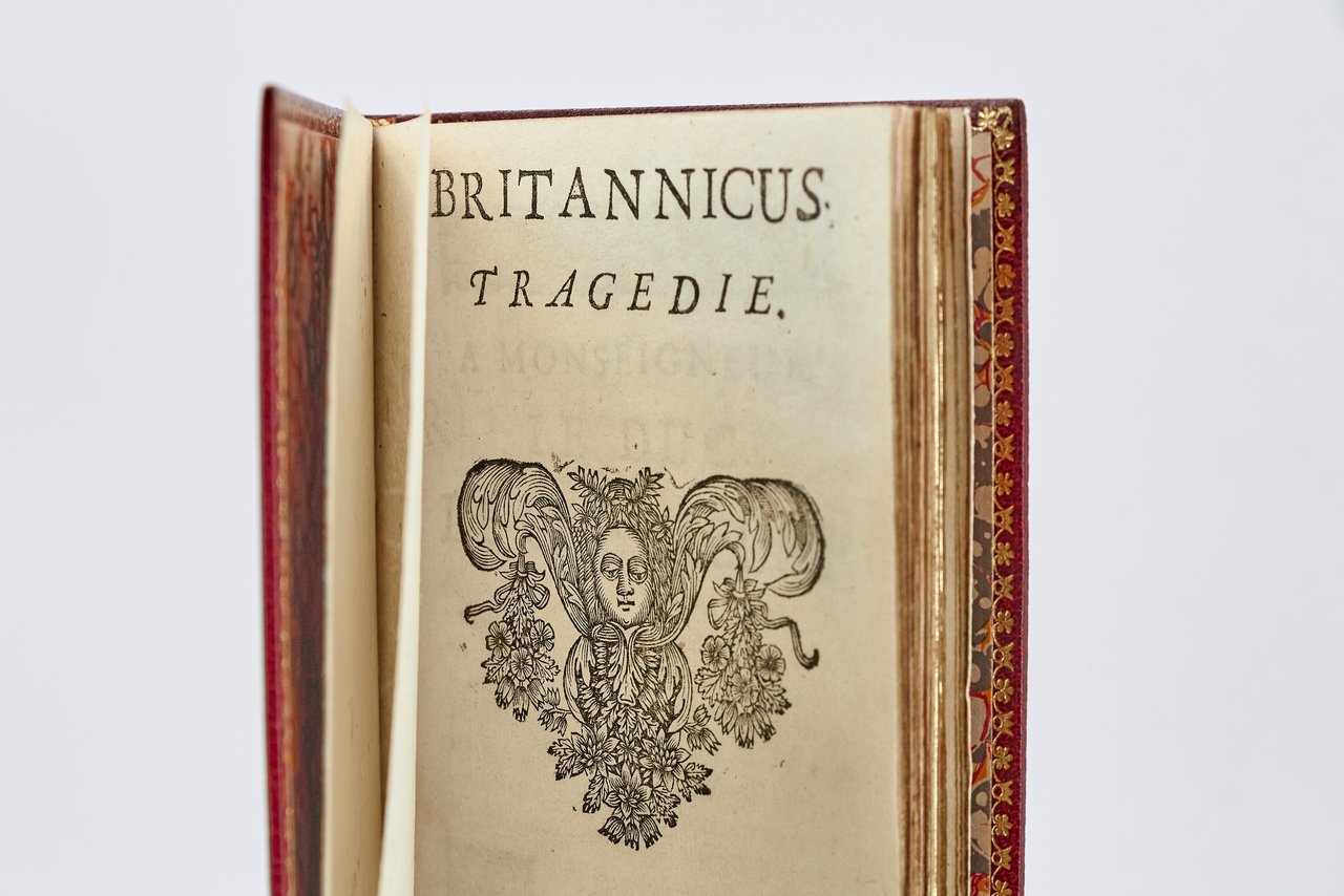 Britannicus
