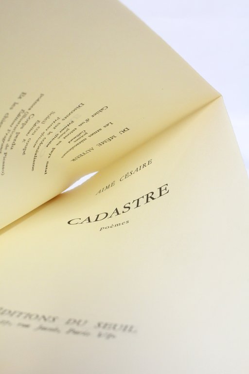 Cadastre