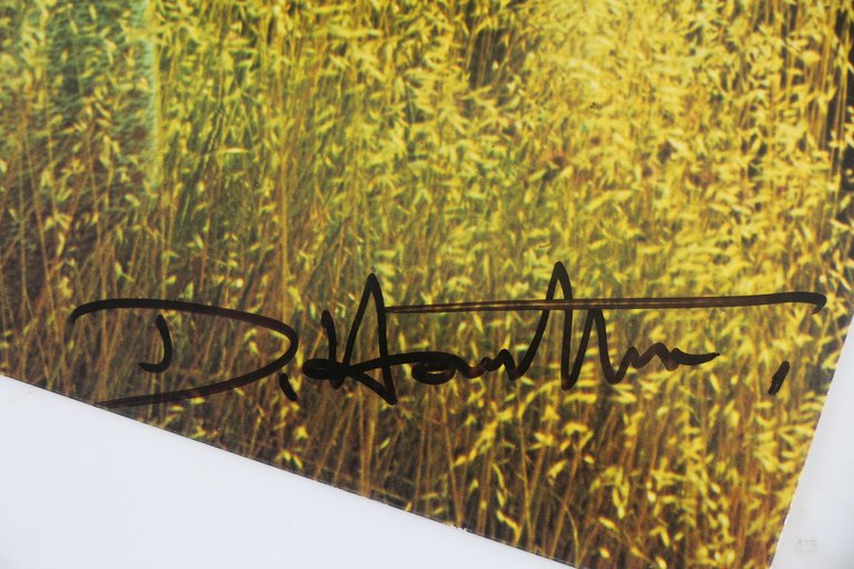 Carte postale photographique signée par David Hamilton