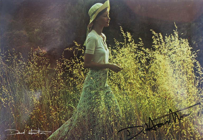 Carte postale photographique signée par David Hamilton