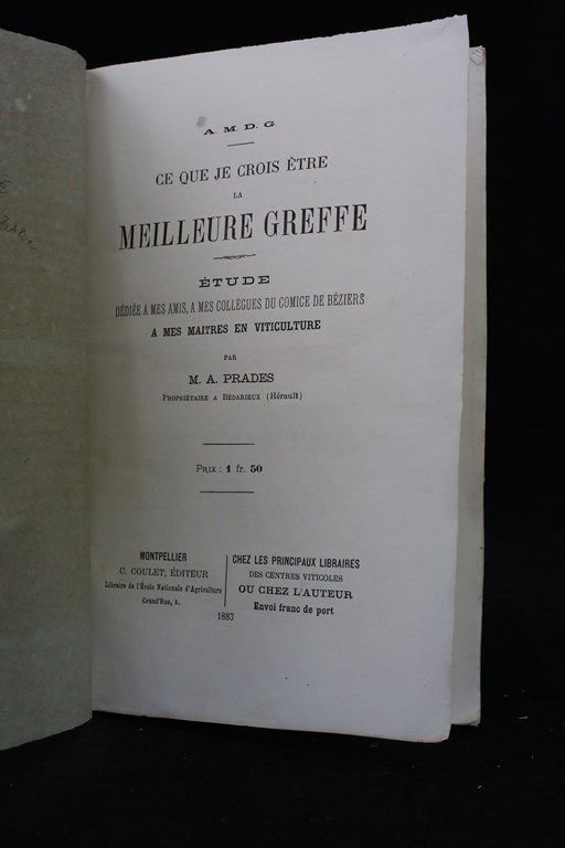 Ce que je crois être la meilleure greffe