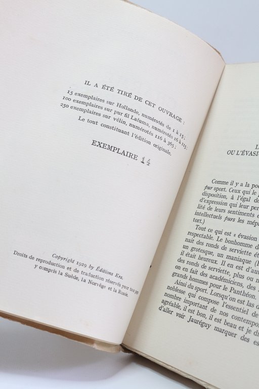 Charme des courses - Introduction au sport hippique