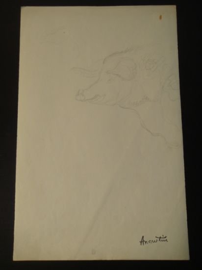 Cochon : Étude 3 - Crayon sur papier