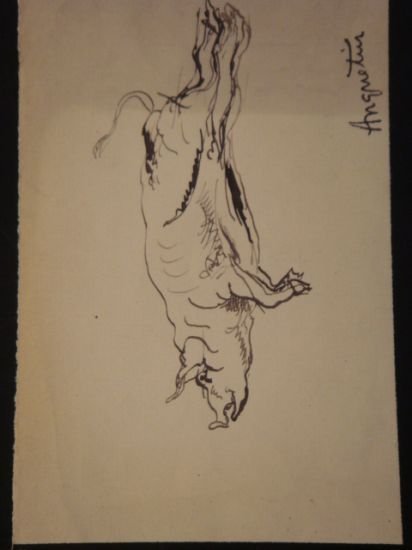 Cochon suspendu par les pieds - Encre sur papier